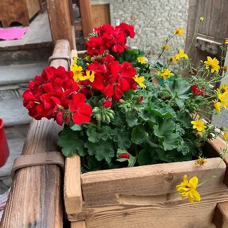 La Tzambretta Apartment Aosta