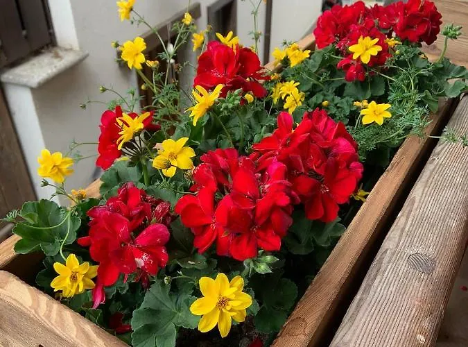 La Tzambretta شقة